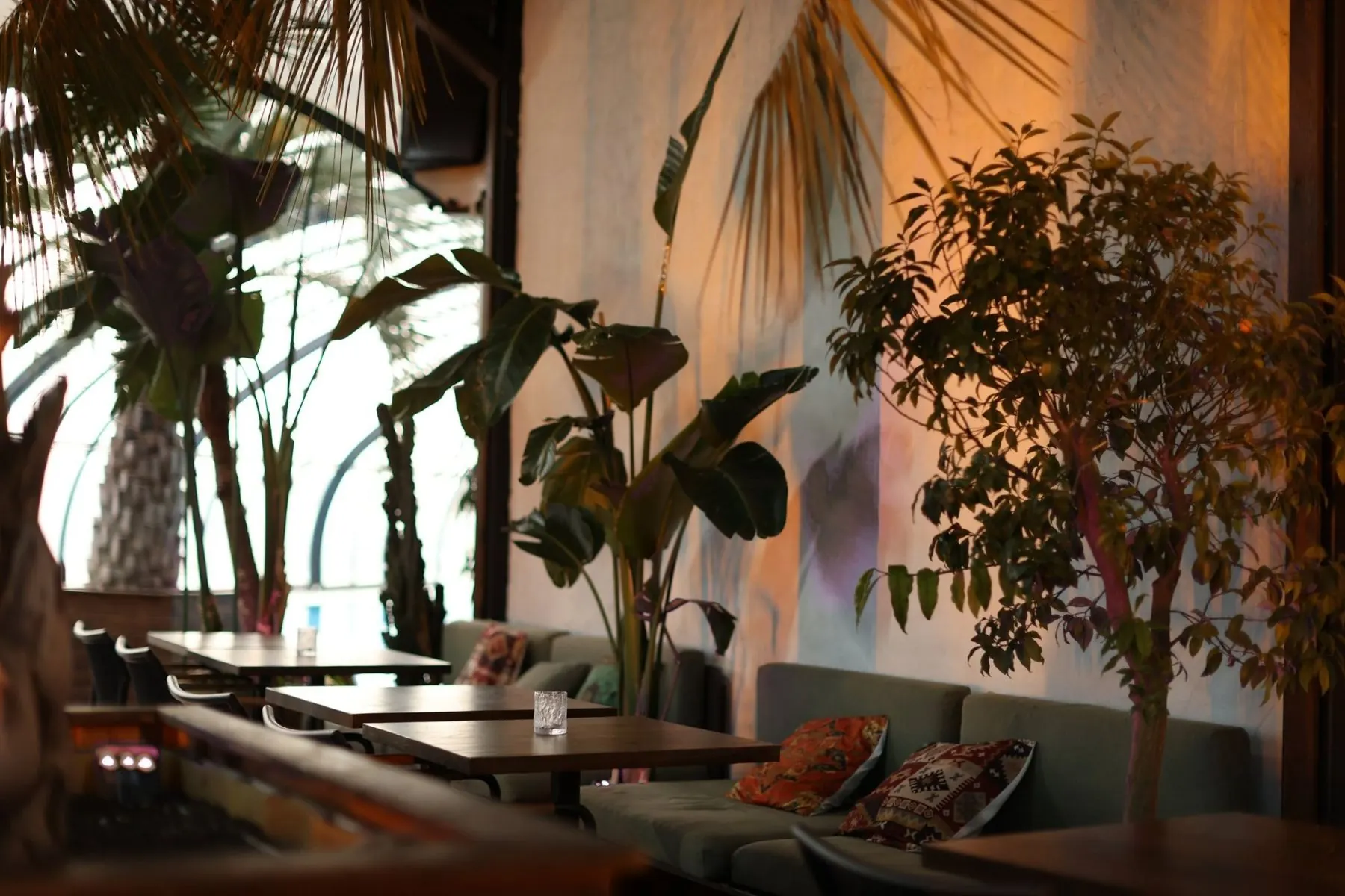 KING DAVID — ბაღი სანთლის შუქზე